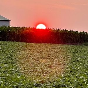 Meet your Posher, Marie